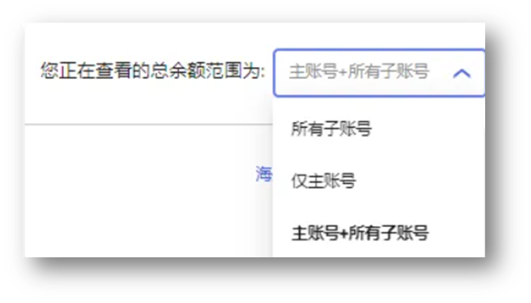 调整余额查看范围