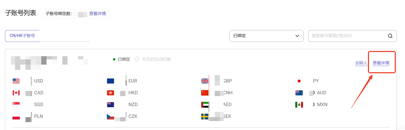 进入子账号详情